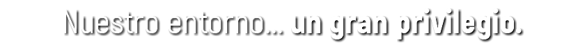 Nuestro entorno... un gran privilegio.